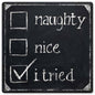 Naughty Nice I Tried 12 x 12