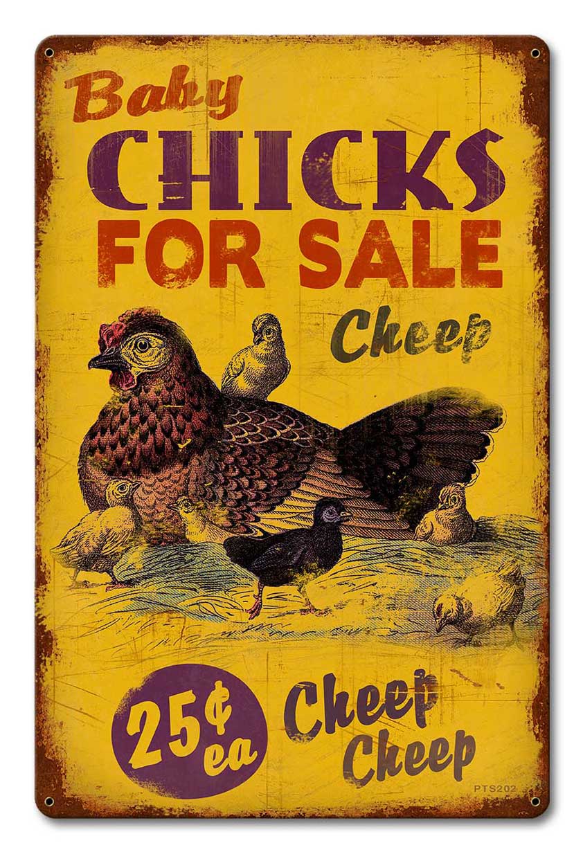 Chicks Cheep 12 x 18