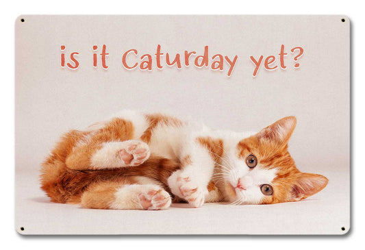 Caturday 18 x 12