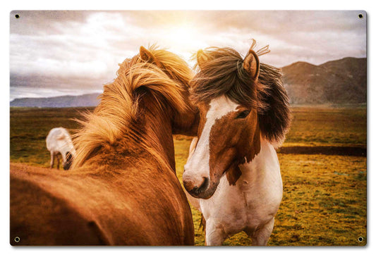 Wild Horses 1 24 x 16