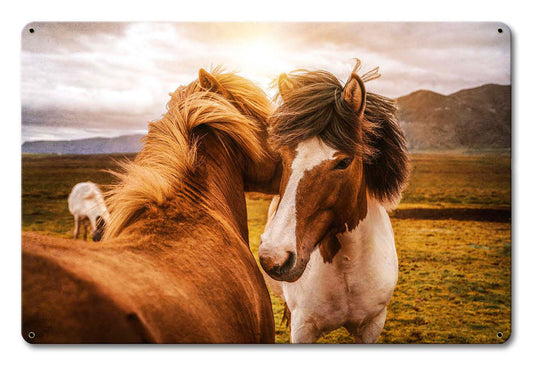 Wild Horses 1 18 x 12