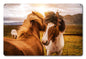 Wild Horses 1 18 x 12