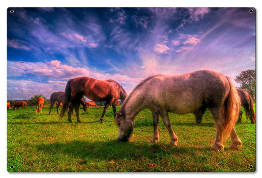 Wild Horse 2 24 x 16