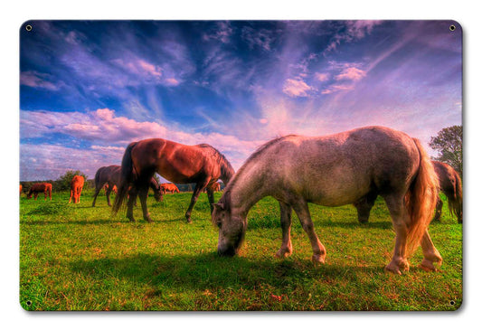 Wild Horse 2 18 x 12