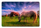 Wild Horse 2 18 x 12