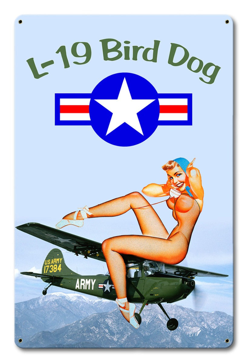 L-19 Bird Dog Pinup 12 x 18