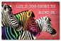 Life'S Too Short 24 x 16