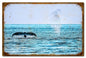 Hawaii Whale 24 X 16
