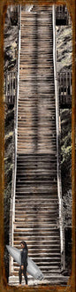 Cardiff Stairs 9 X 36