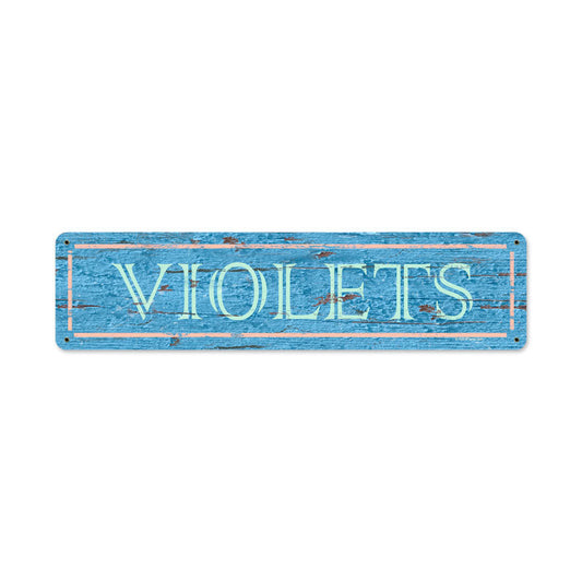 Blue Violets 20 X 5