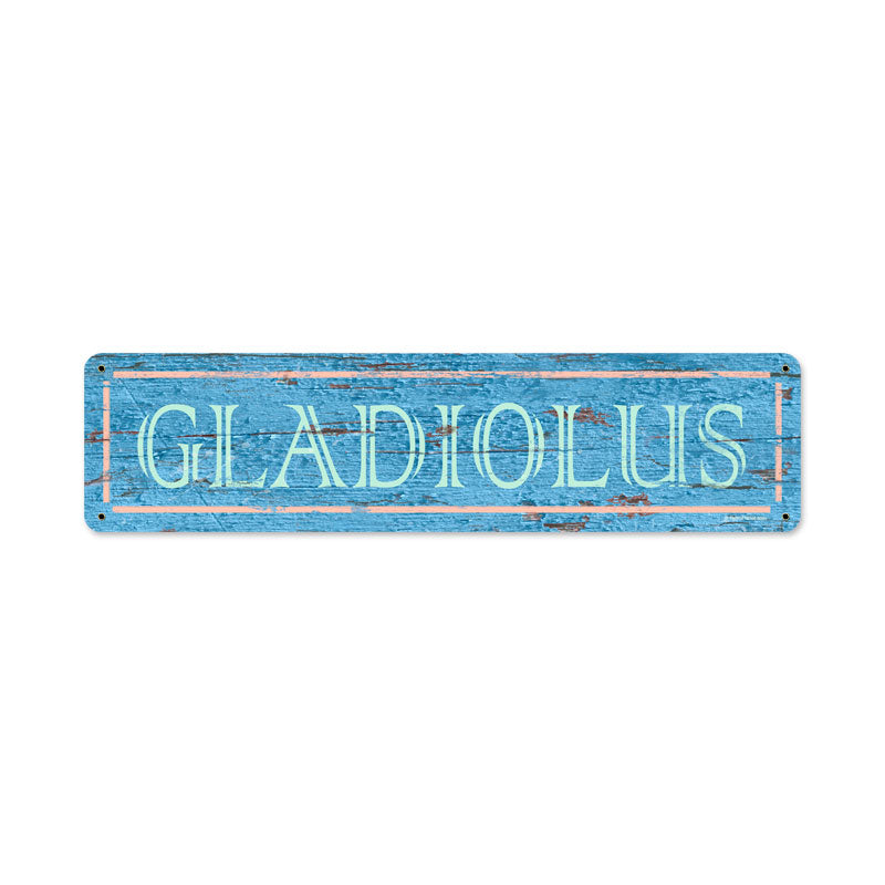 Blue Gladiolus 20 X 5
