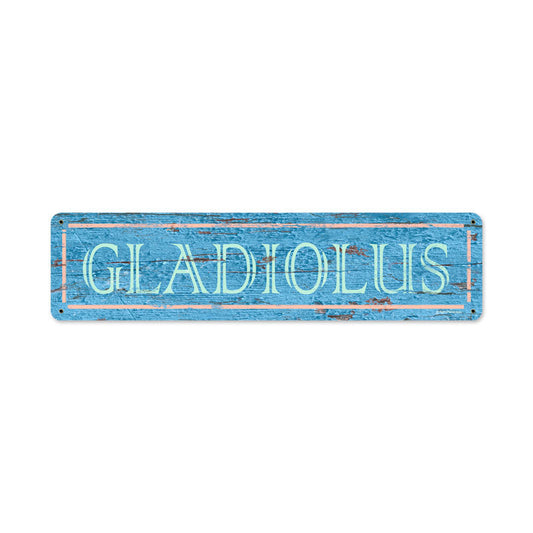 Blue Gladiolus 20 X 5