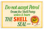 The Shell Seal 24 X 16
