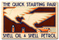 Quick Starting Birds 16 X 24