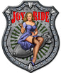 Joy Ride 14 x 18