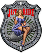 Joy Ride 38 x 48