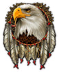 W Eagle Dream 14 x 18