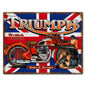 Triumph Bike 6 24 x 18