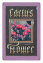 Cactus Flower 18 x 12