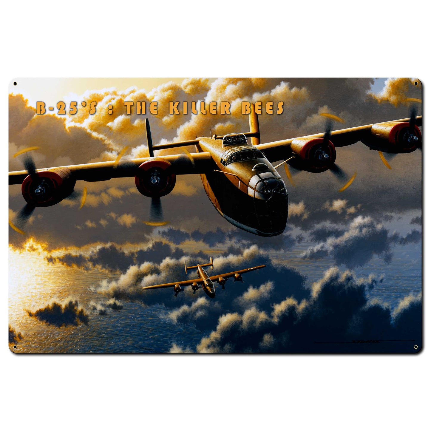 B-25 Killer Bee 36 x 24