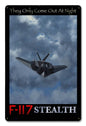 F-117 Stealth 12 x 18