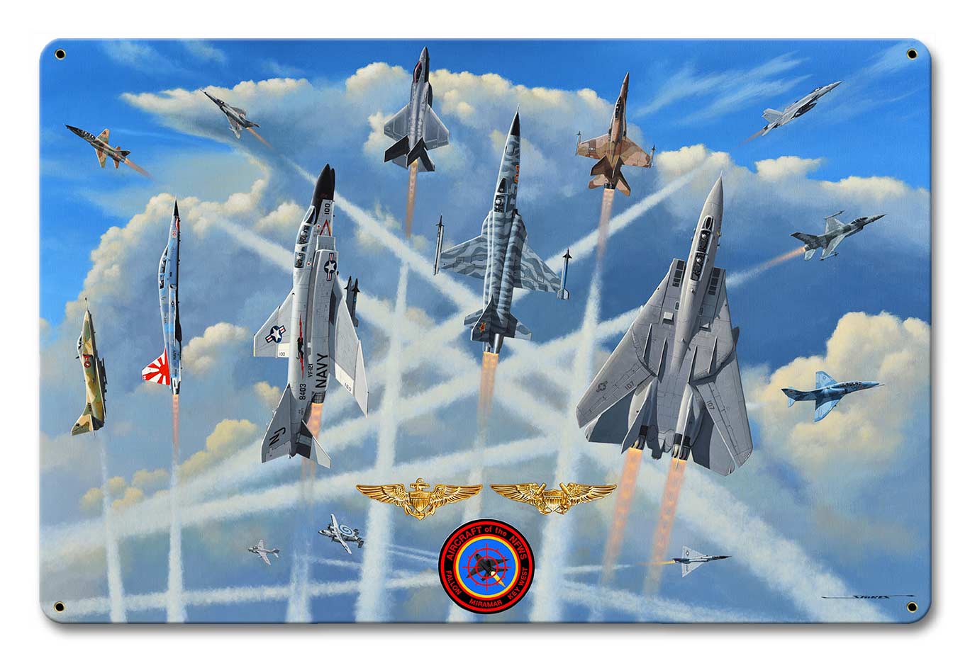 Aircraft Of The Nfws 18 x 12