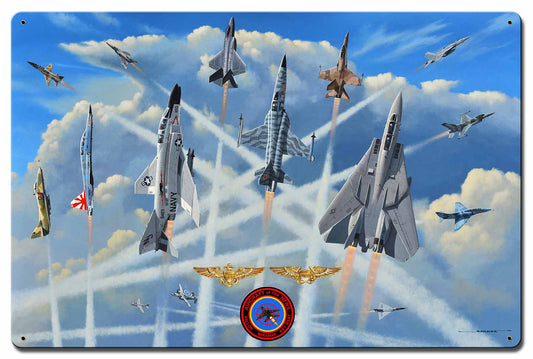 Aircraft Of The Nfws 24 x 16