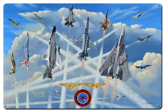 Aircraft Of The Nfws 36 x 24