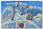 Aircraft Of The Nfws 36 x 24