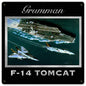 F-14 Grumman 12 x 12