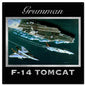 F-14 Grumman 24 x 24