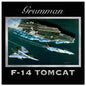 F-14 Grumman 36 x 36
