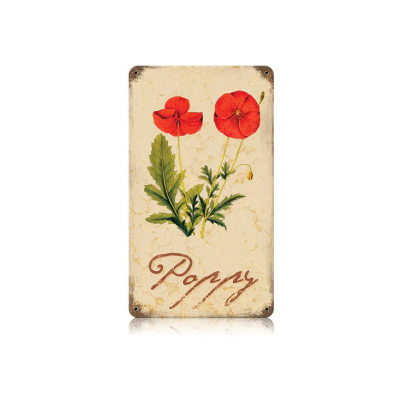 Poppy 8 x 14