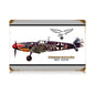 Bf-109 Messerschmitt 18 x 12