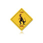 T-Rex Xing 12 x 12