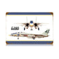 Tomcat 18 x 12