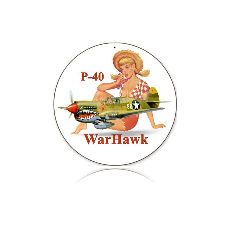 P-40 Warhawk 14 x 14