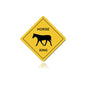 Horse Xing 12 x 12