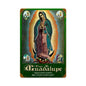 Virgen 12 x 18