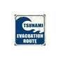 Tsunami Evacuation 12 x 12
