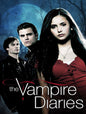 Vampire Diares 12 X 16