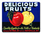 Delicious Fruits Quality Apples 15 x 12