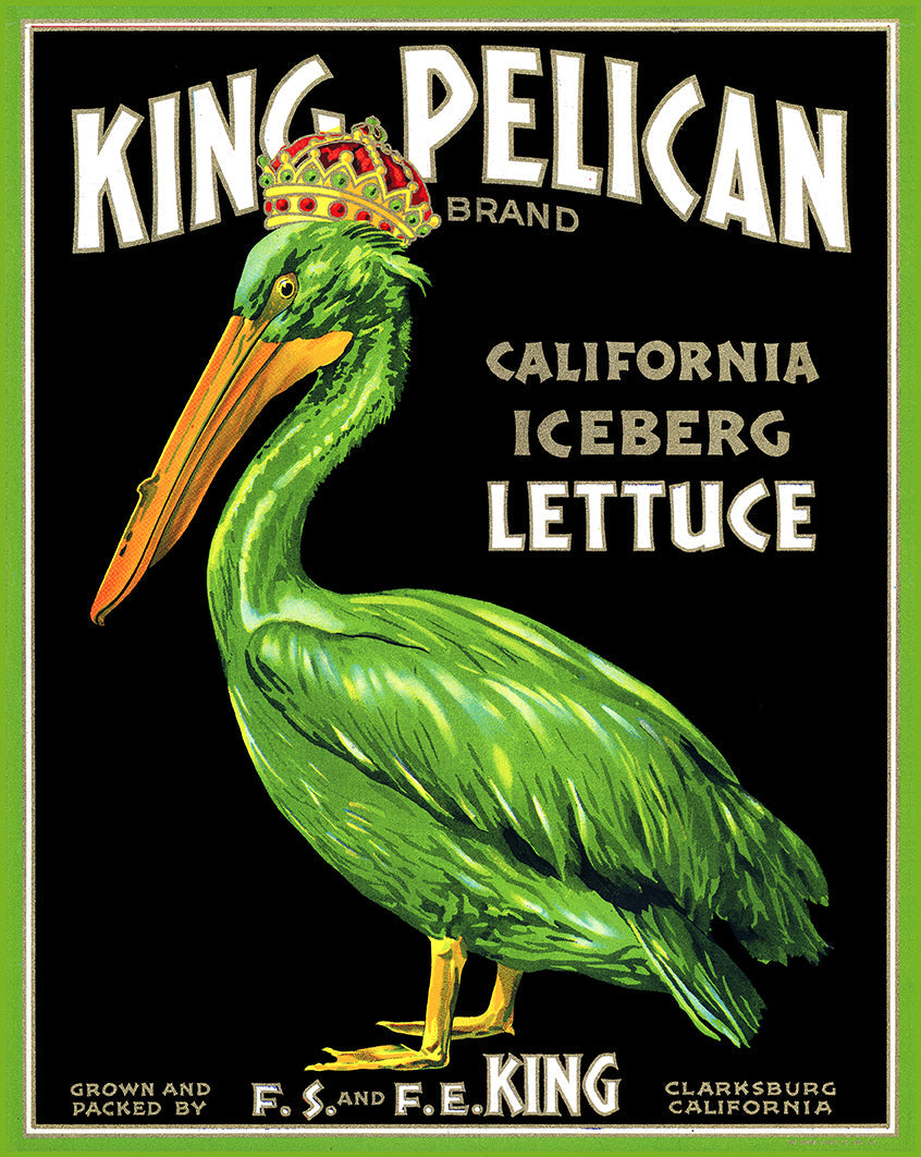 King Pelican Lettuce 12 x 15