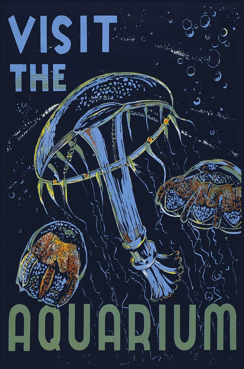 Visit Aquarium 12 x 18