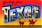 Greetings From Texas 12 x 18