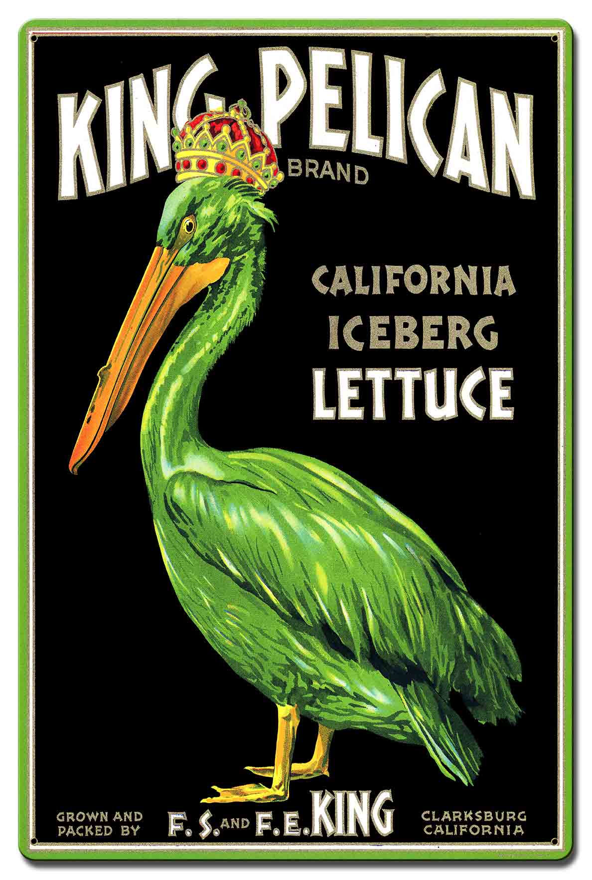King Pelican Lettuce 16 x 24