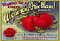 Alexander Kielland Apples 24 x 16