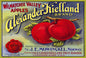 Alexander Kielland Apples 36 x 24