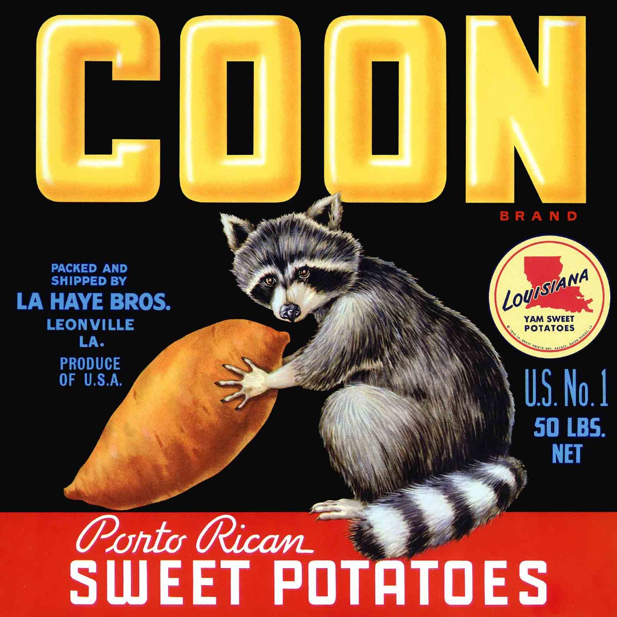 Coon Sweet Potatoes 24 x 24