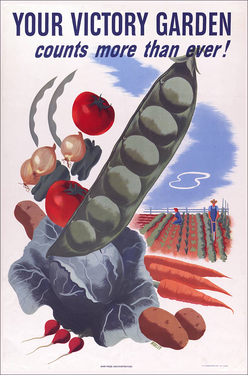 Your Victory Garden 12 x 18
